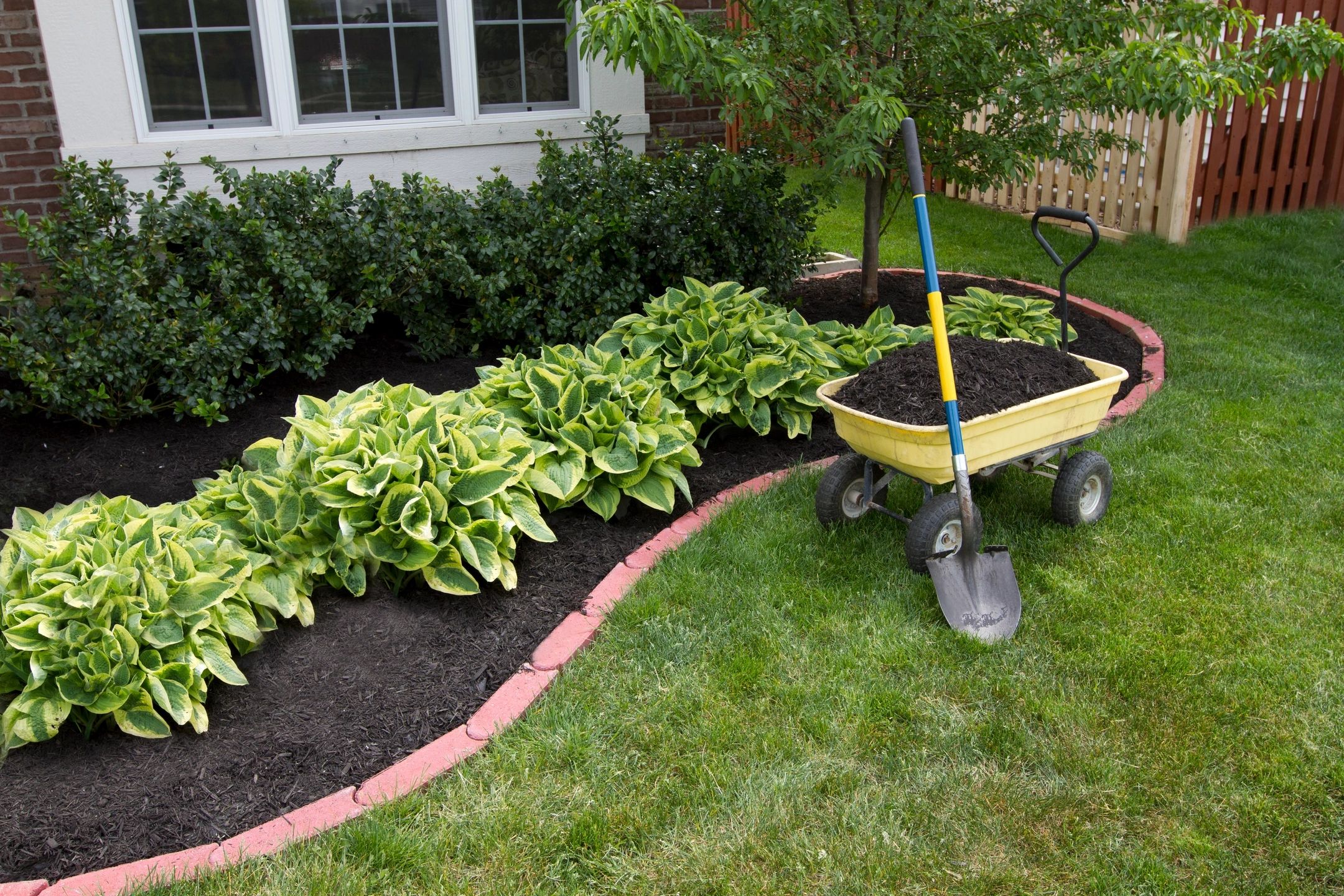 Newly landscaped garden with planted border and lawn